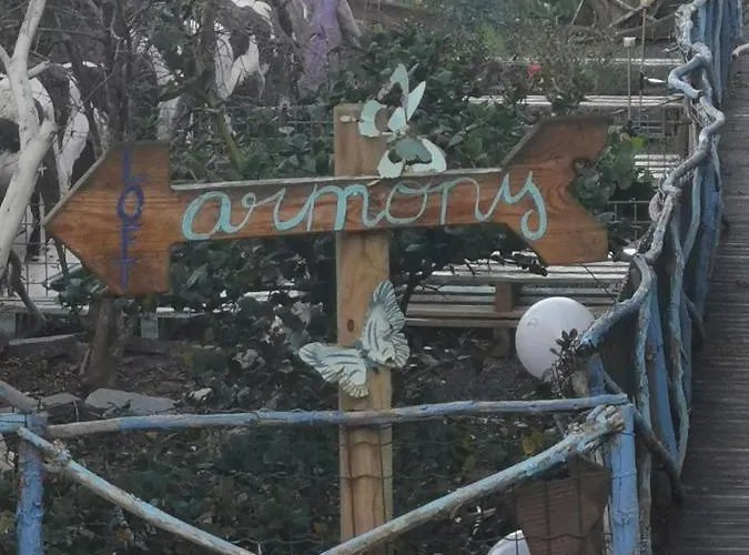 Loft Armony Villaverde (Fuerteventura)