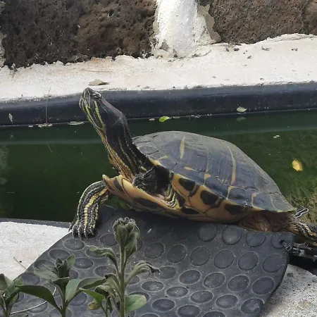 Appartement Loft Armony *