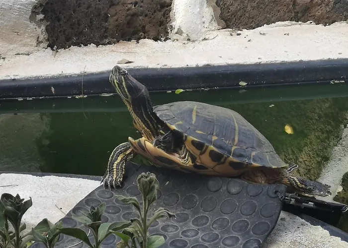 アパート Loft Armony *